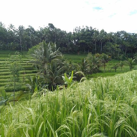 D'Ume Bendoel Homestay Jatiluwih Bagian luar foto