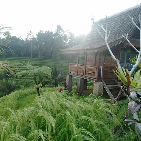D'Ume Bendoel Homestay Jatiluwih Bagian luar foto