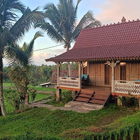 D'Ume Bendoel Homestay Jatiluwih Bagian luar foto
