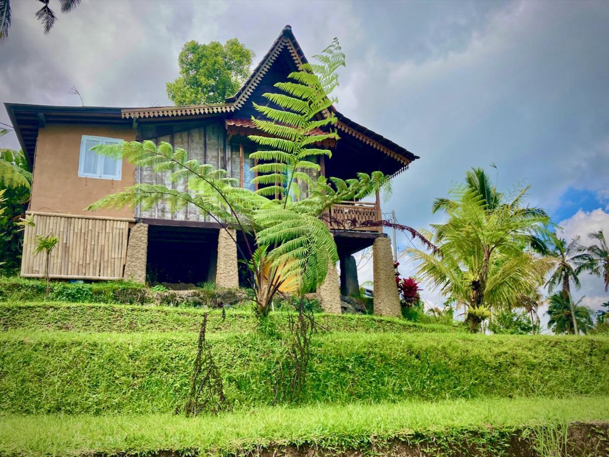 D'Ume Bendoel Homestay Jatiluwih Bagian luar foto