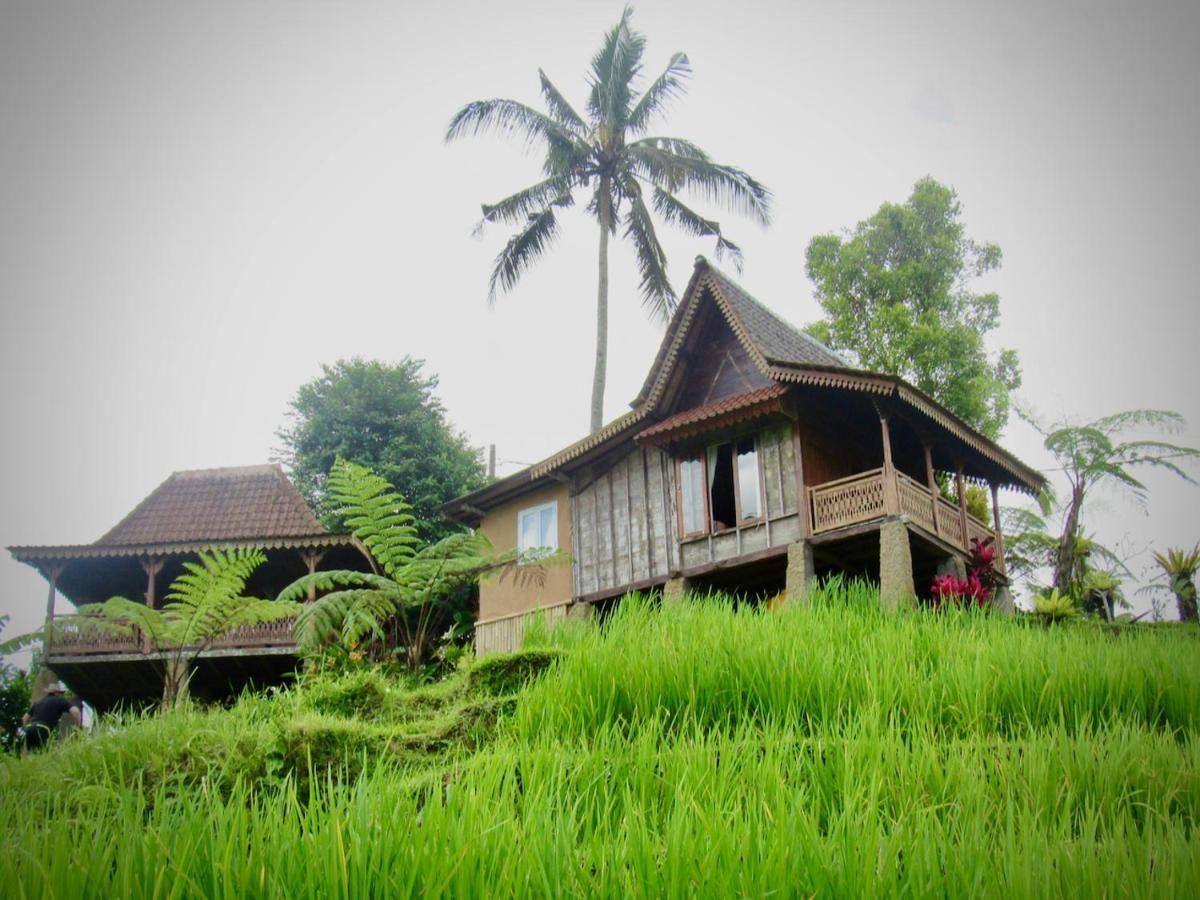 D'Ume Bendoel Homestay Jatiluwih Bagian luar foto