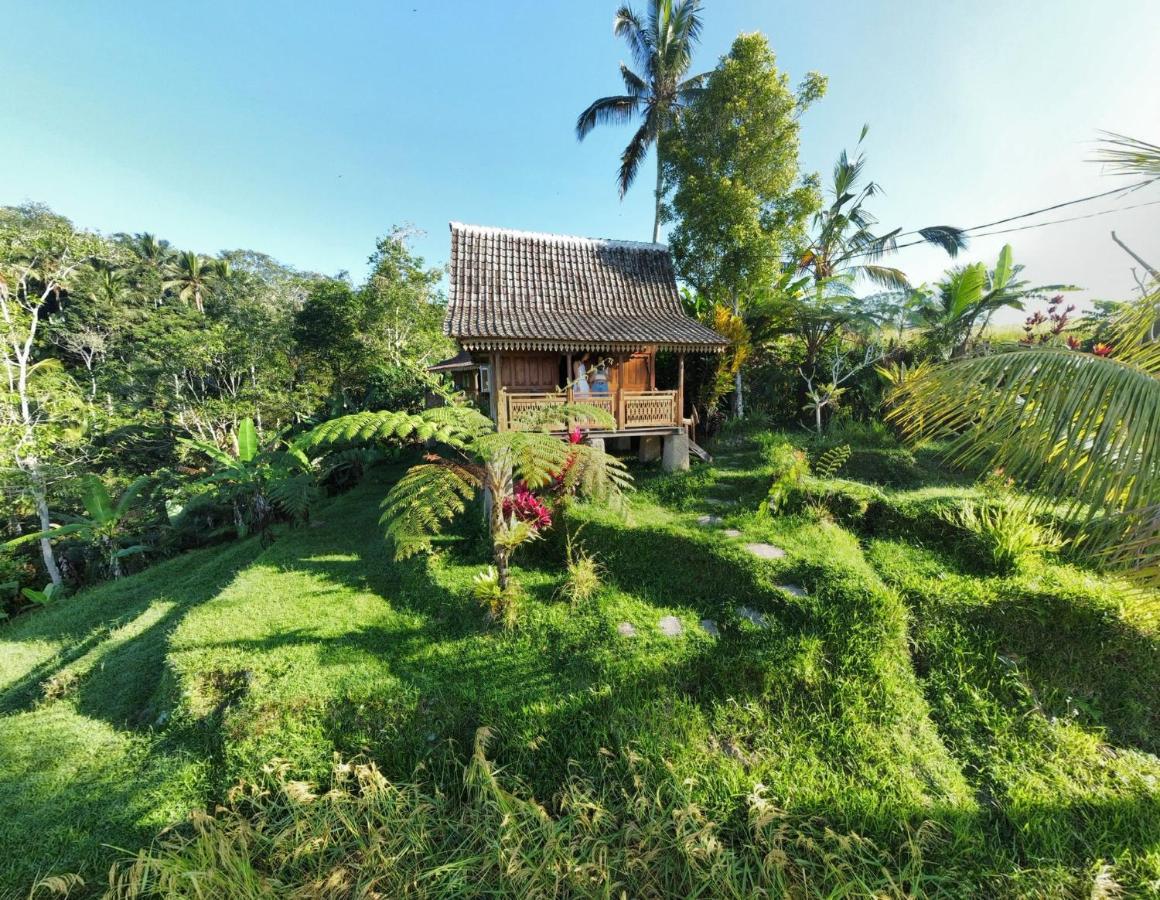 D'Ume Bendoel Homestay Jatiluwih Bagian luar foto