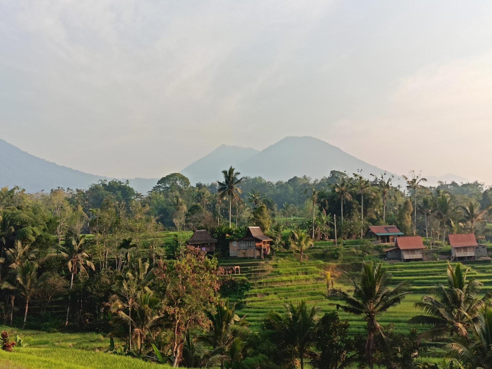 D'Ume Bendoel Homestay Jatiluwih Bagian luar foto