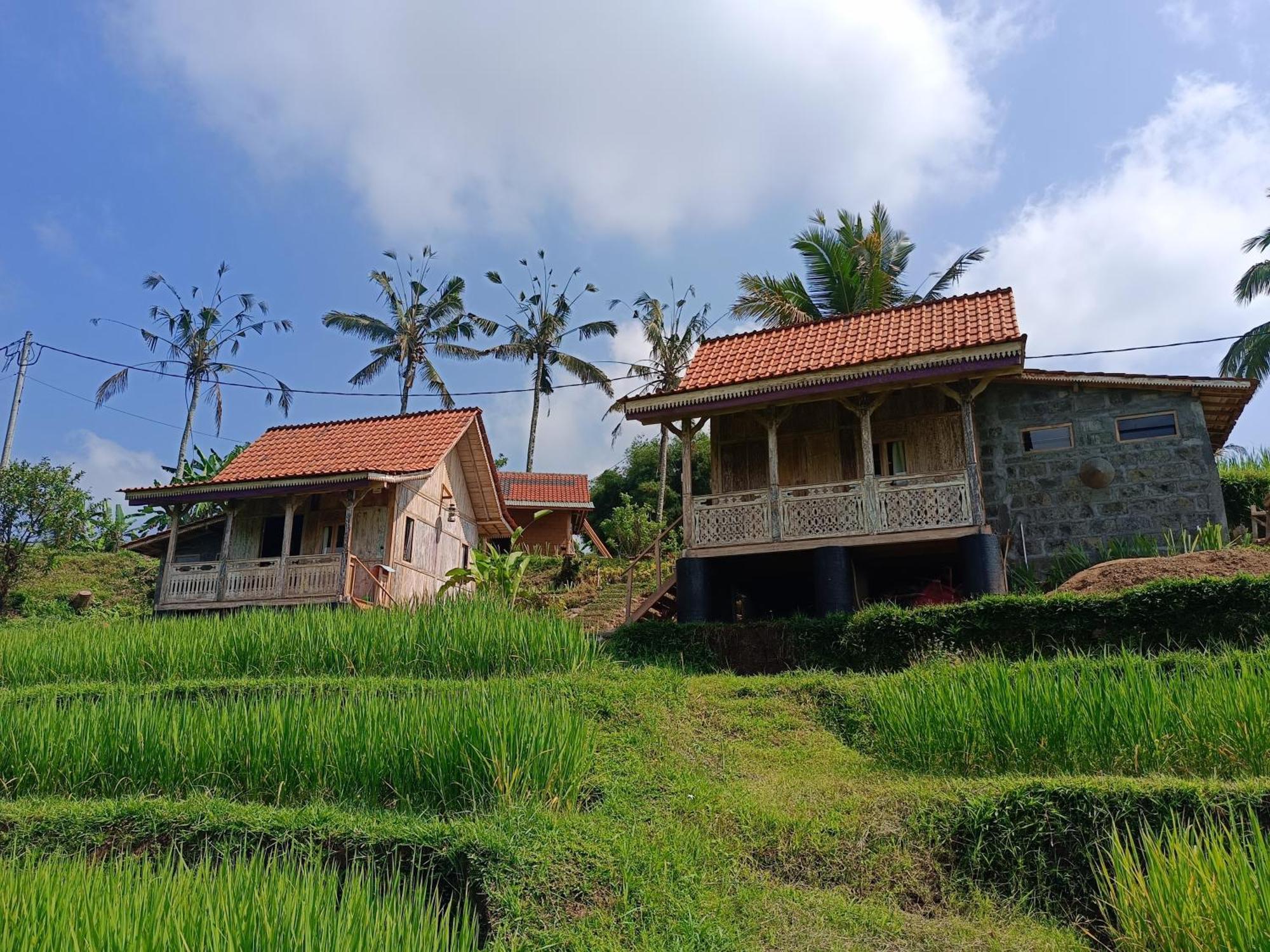 D'Ume Bendoel Homestay Jatiluwih Bagian luar foto