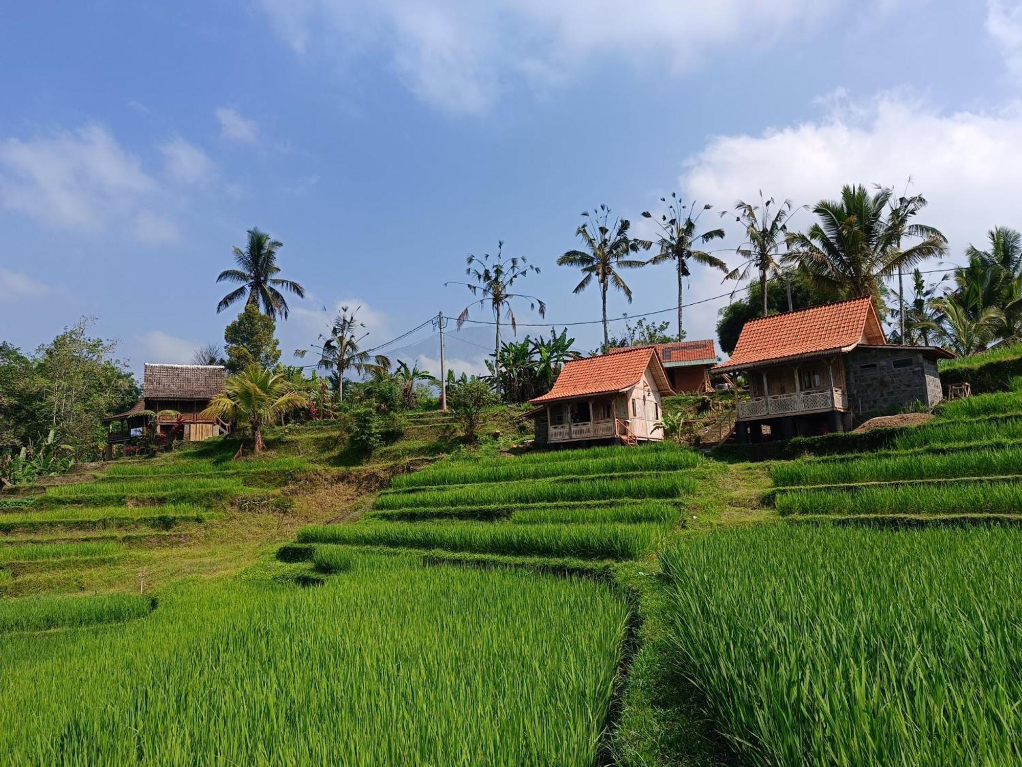 D'Ume Bendoel Homestay Jatiluwih Bagian luar foto