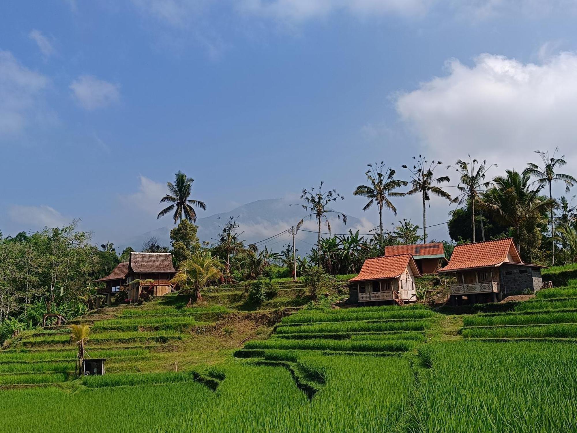 D'Ume Bendoel Homestay Jatiluwih Bagian luar foto