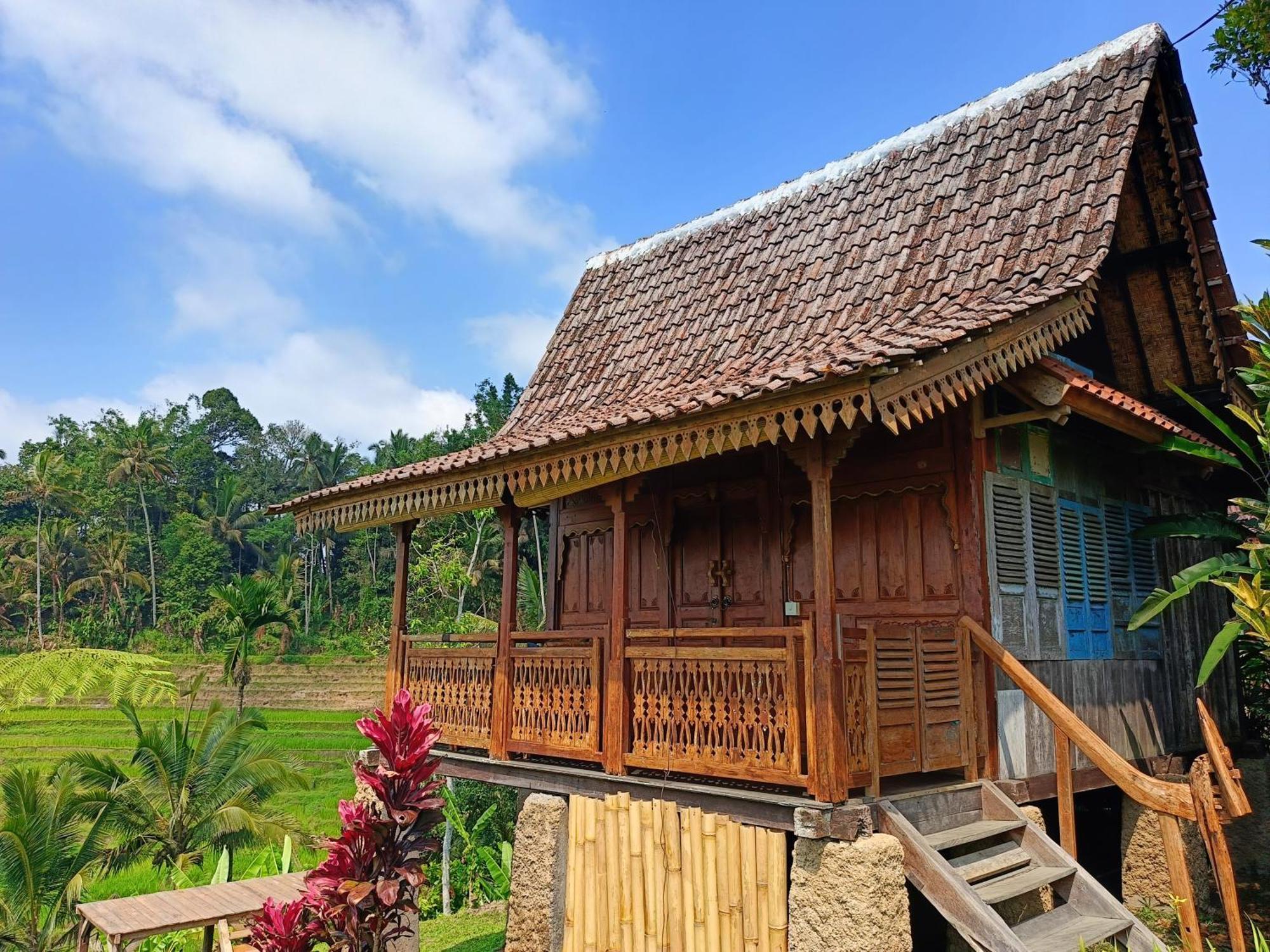 D'Ume Bendoel Homestay Jatiluwih Bagian luar foto
