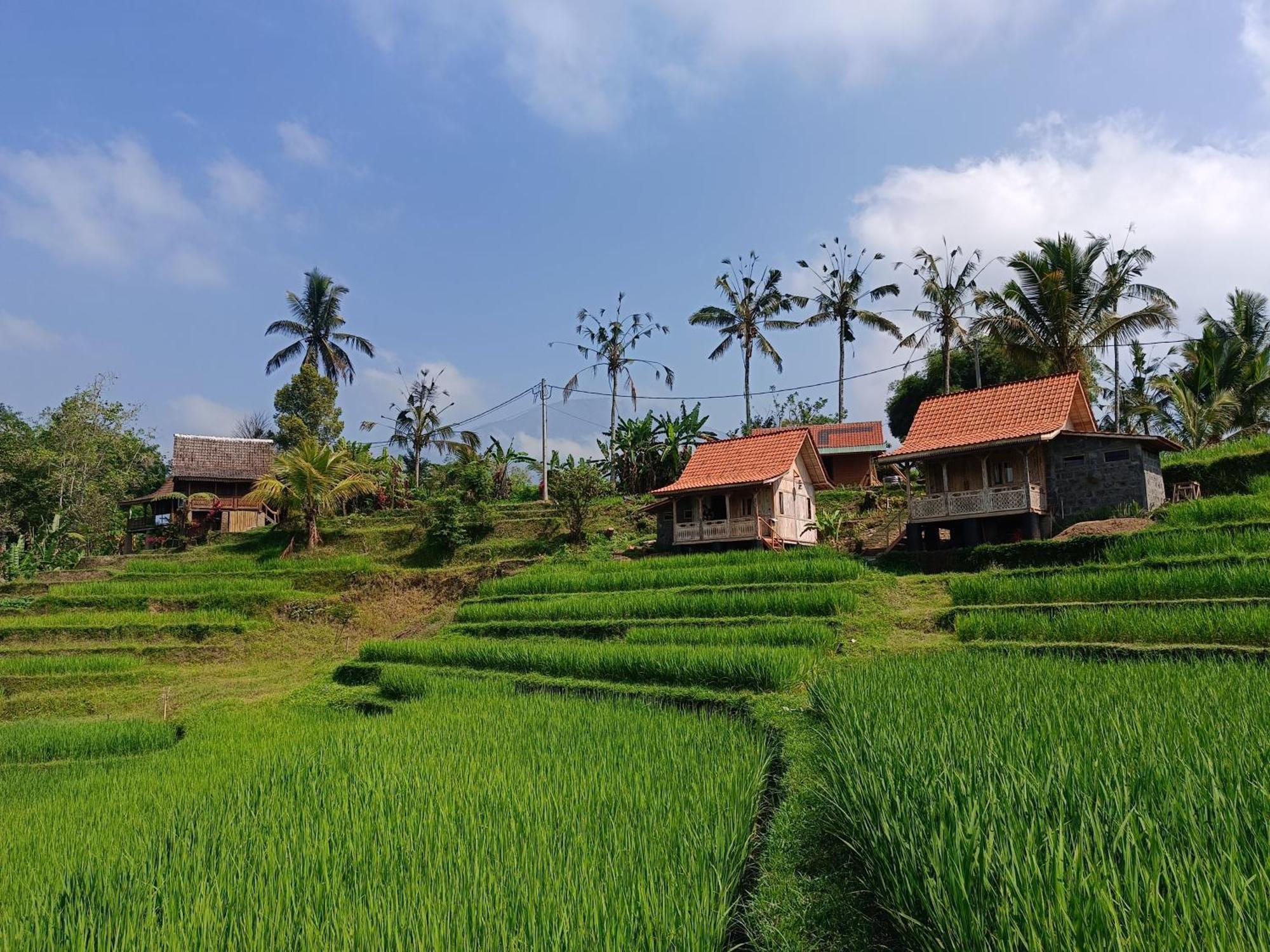 D'Ume Bendoel Homestay Jatiluwih Bagian luar foto
