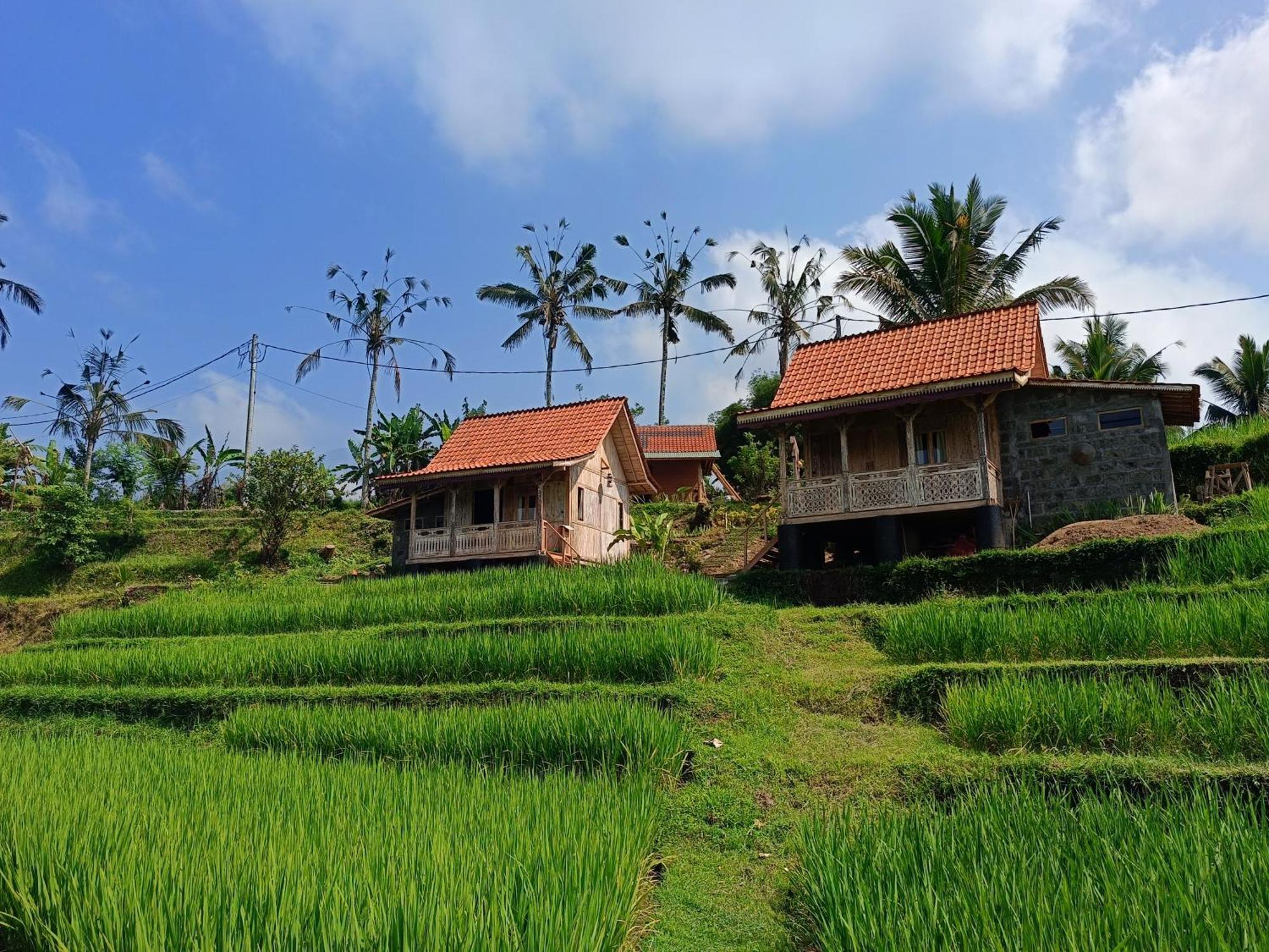 D'Ume Bendoel Homestay Jatiluwih Bagian luar foto