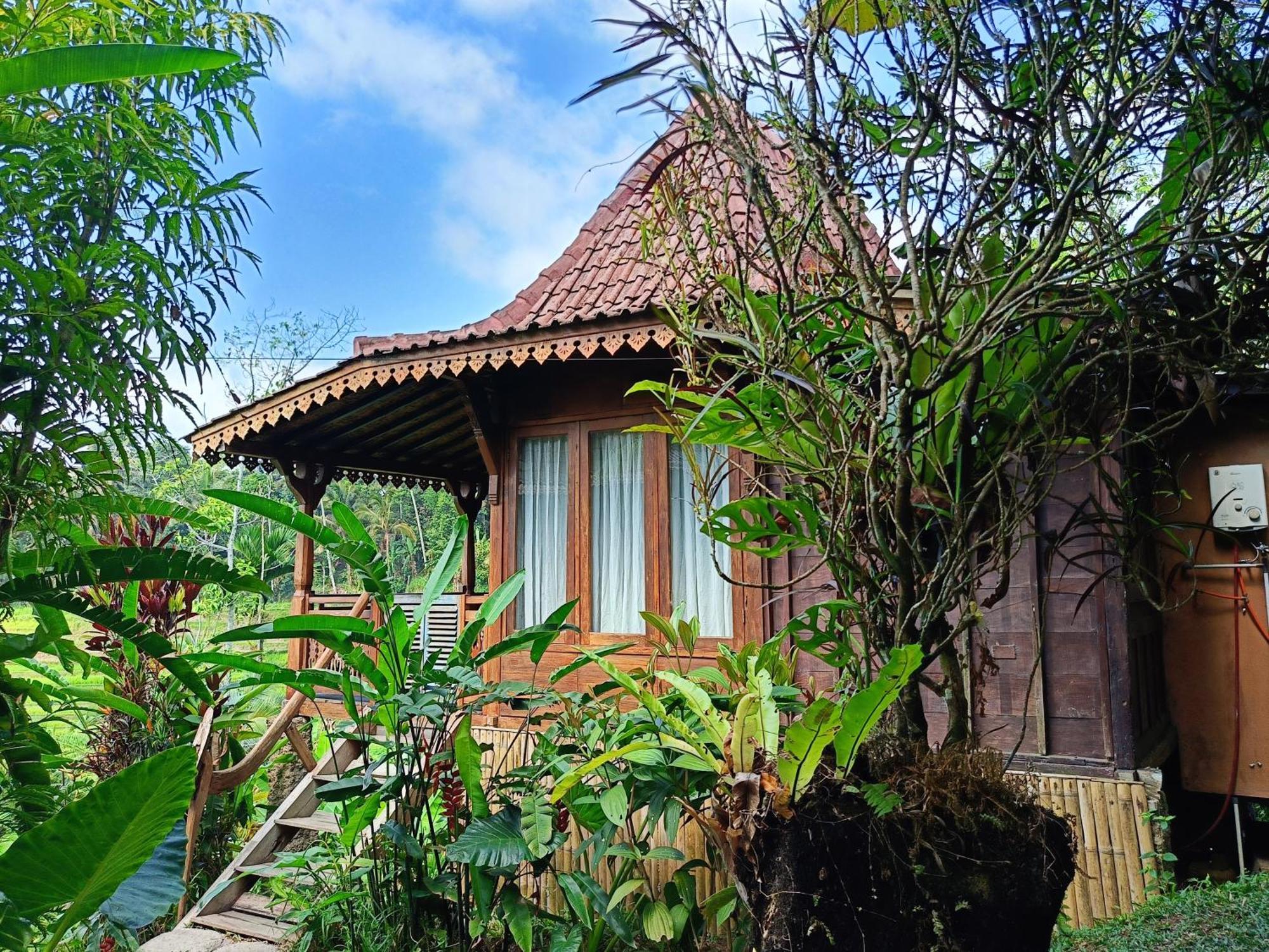 D'Ume Bendoel Homestay Jatiluwih Bagian luar foto