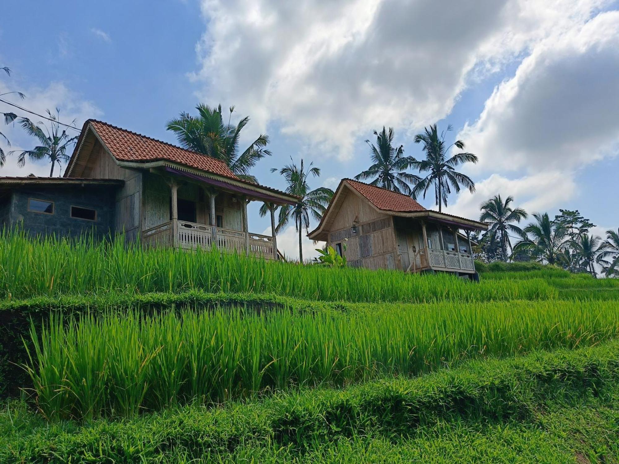 D'Ume Bendoel Homestay Jatiluwih Bagian luar foto