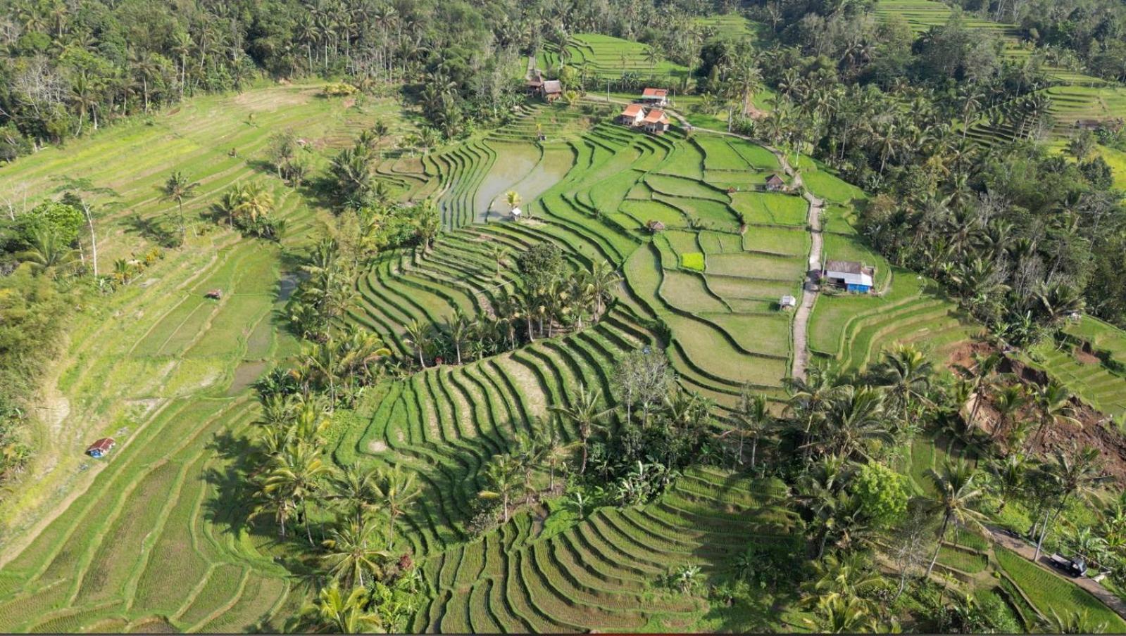 D'Ume Bendoel Homestay Jatiluwih Bagian luar foto