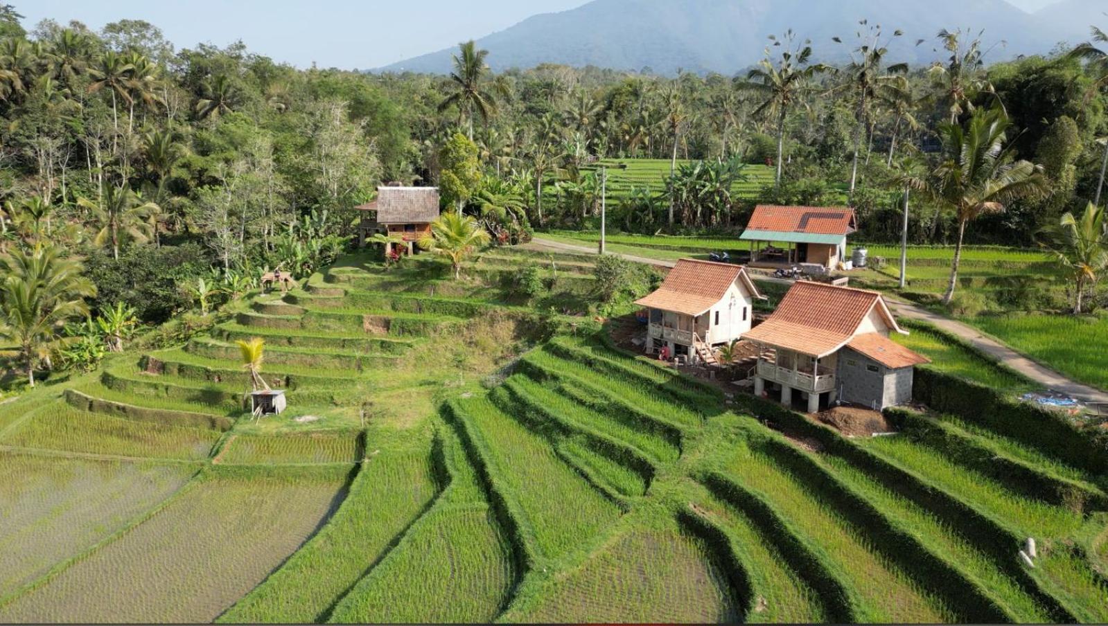 D'Ume Bendoel Homestay Jatiluwih Bagian luar foto