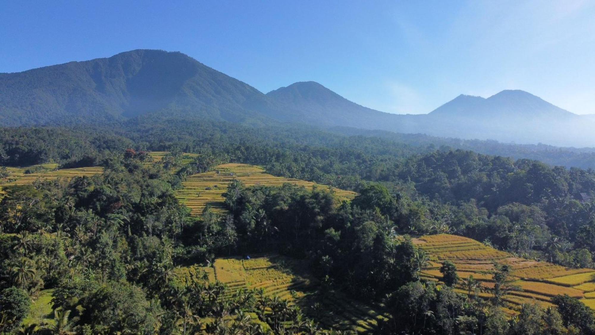 D'Ume Bendoel Homestay Jatiluwih Ruang foto