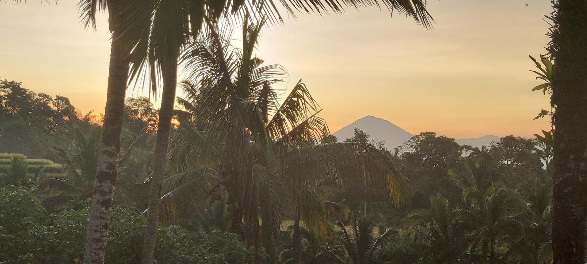 D'Ume Bendoel Homestay Jatiluwih Bagian luar foto