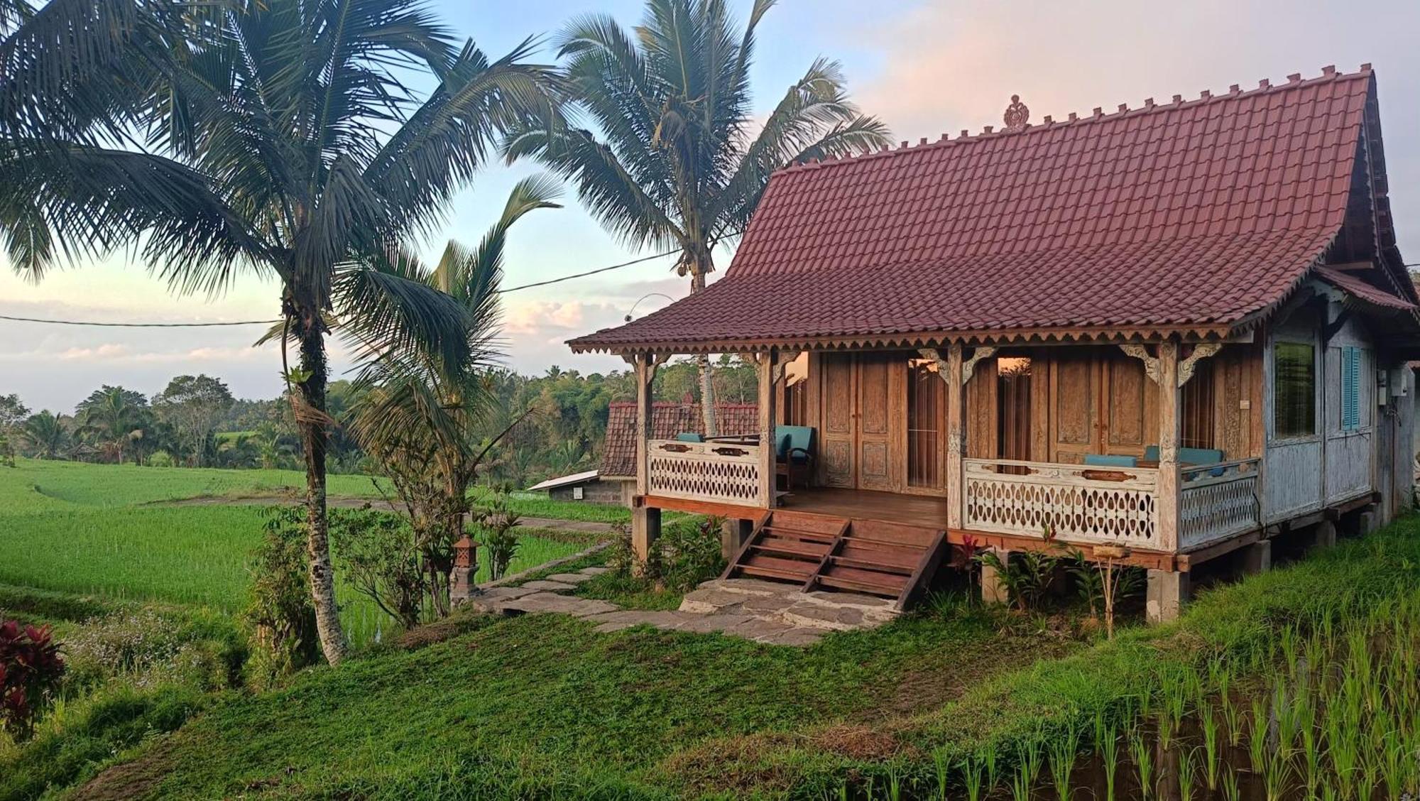 D'Ume Bendoel Homestay Jatiluwih Bagian luar foto
