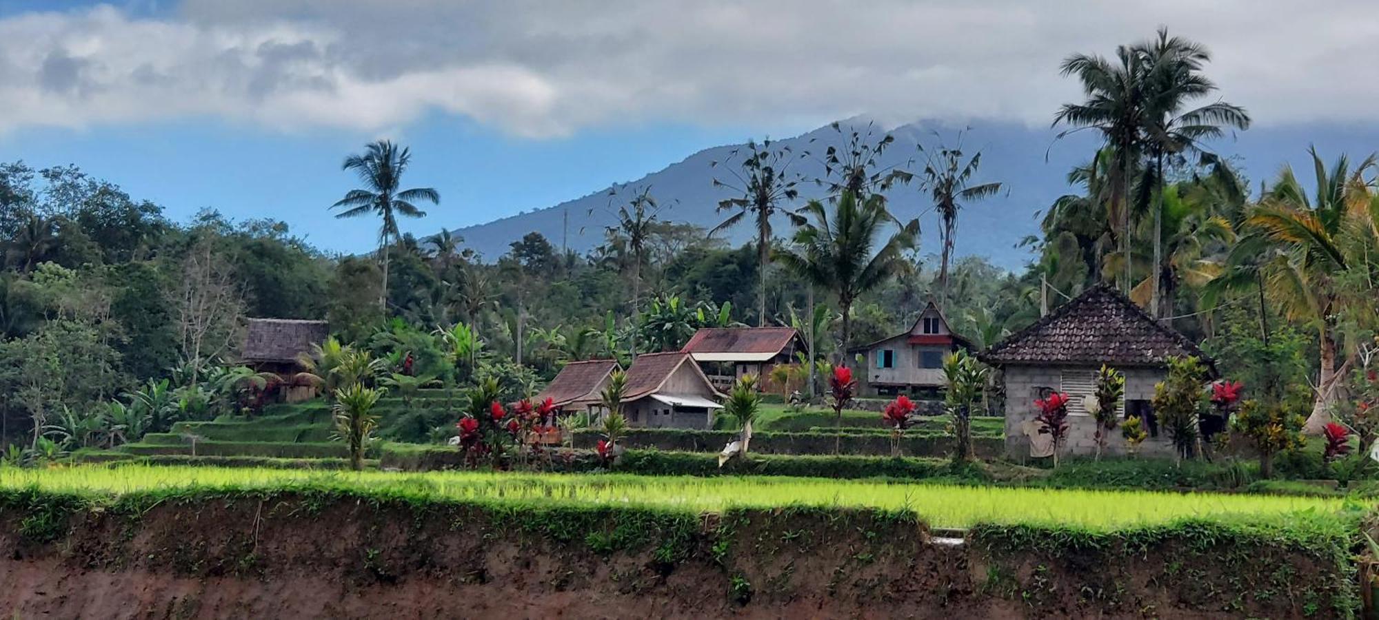 D'Ume Bendoel Homestay Jatiluwih Bagian luar foto