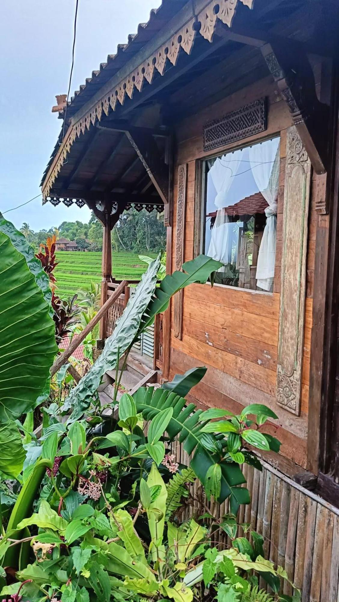 D'Ume Bendoel Homestay Jatiluwih Bagian luar foto
